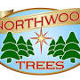 Northwood Christmas Trees from www.northwoodstrees.com