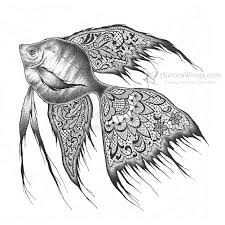 Black Lace Angelfish Fish Drawings Art Ink Drawing