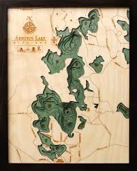 Arbutus Lake Mi Wood Chart The Mitten Map Depth Chart