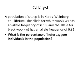 Hardy weinberg equation pogil answer key chipin de. Catalyst A Population Of Birds Contains 16 Animals