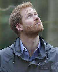 Prince Harry in hot water over his beard