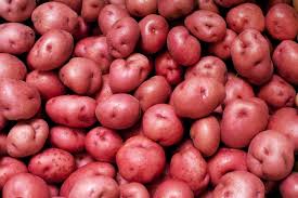 Image result for Solanum tuberosum