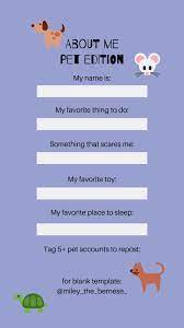 pet instagram story templates dog instagram story template instagram story template for pet dogsofi instagram story template animal instagram dog template