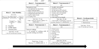 Overview Of Functional Training Sessions Ft And Traditional Strength Download Scientific Diagram