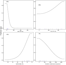 Image result for Arthraerua