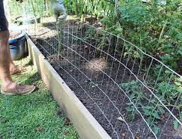 Diy How To Build A Welded Wire Garden Fence In 2020 Garden Fence Easy Garden Garden Fencing