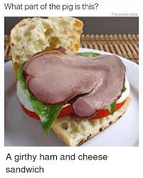 Barnyard Memes For Cow Loving Teens Dr Pig Facebook