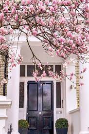 Where To See Magnolia And Cherry Blossom In London Printable Guide And Map Cherry Blossom Blossom House Fancy Houses