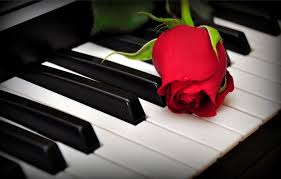 Hd A Rose On The Piano Keys Wallpaper Download Free 84748 Piano Keys Piano Piano Music