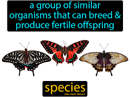 Species In 2020 Species Science Flashcards Keystone Species