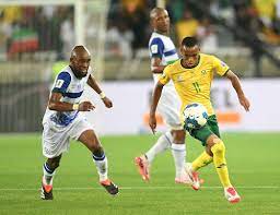 Bafana may have averted World Cup disaster over Teboho Mokoena suspension  bungle