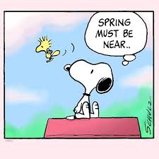 images?q=tbn:ANd9GcTHES47W6X-0nae8wwdAD0