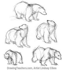 Cartoon Polar Bear How To Draw A Polar Bear Step By Step Polar Bear Drawing Polar Bear Art Bear Drawing