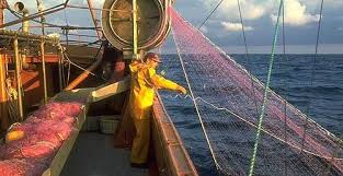 Filets De Peche Professionnelle Tous Les Fournisseurs Filet Peche Marine Filet Peche Mer Filet Peche Fluviale Filet De Peche Professionnelle Fil Welt