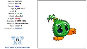 Welcome to jellyneo's neopets item database! The Neopets Returning Player Guide Levelskip