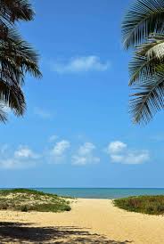 Photos Australian Seascapes Summer Vibes Adventure Adventure Picture Summer Night Photos