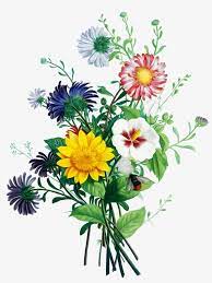 Flower Bouquet Flower Clipart Bunch Flower Arrangement Png And Vector With Transparent Background For Free Download Botanical Flowers Print Flower Bouquet Painting Flower Clipart