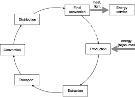 Image result for Rytigynia monantha