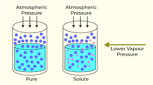 Colligative Properties Of Solutions - Psiberg