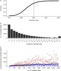 Are all immunocompromised patients at greater risk of covid and other infections? Rna Populations In Immunocompromised Patients As Reservoirs For Novel Norovirus Variants Journal Of Virology