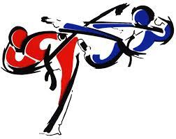 What should the logo for hedland taekwondo be? Logos Taekwondo Buscar Con Google Animasi Latar Belakang Seni Animasi