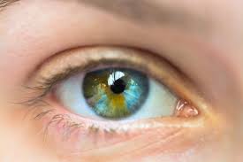 Itap Of My Eye Sectoral Heterochromia Http Ift Tt 2jay1id Green And Blue Eye Heterochromia Eyes Aesthetic Eyes Blue Eyes Aesthetic