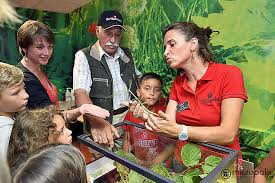 Il est intégré au 1er janvier 2017 à l'agence française pour la biodiversité (afb). Les Parcs D Attractions En France Parcs D Attractions Sud De La France Routard Com