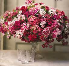 Gardenrooms Pink Flower Arrangements Dianthus Flowers Flower Arrangements