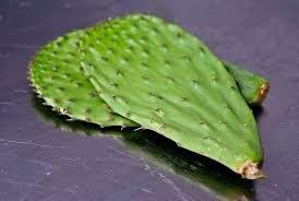 Most people associate high sugar and high carbs to be predominantly found in sweet sauces. Cactus Leaf Aka Nopales Another Keto Friendly Veg Vegetables Ketogenic Forums