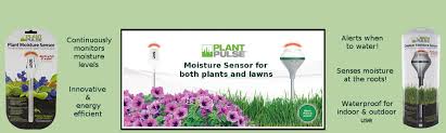 Measure Soil Moisture Level Of Houseplants And Outdoor