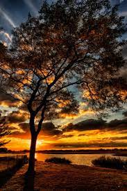 The Whole Earth Is Filled With Awe At Your Wonders Where Morning Dawns Where Evening Fades Yo Nature Scenery Sunset Photography Aesthetic Photography Nature