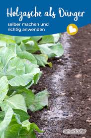 Asche gehört in den restmüll laut unserem abfallunternehmen, sonst lassen die einem die tonne stehen. Asche Als Dunger Wertvollen Kalium Dunger Aus Holzasche Selber Machen