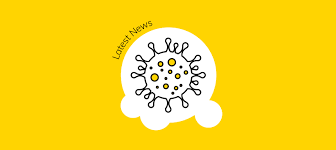 Latest News Covid 19 Northern Beaches Council
