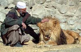 Browse 2,773 afghanistan flag stock photos and images available, or search for iraq flag or china flag to find more great stock photos and pictures. The Lion Of Afghanistan Earth In Transition