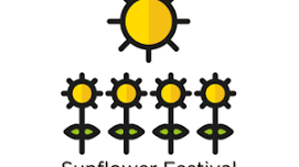 Sunflower Festival