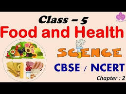 Food And Health Class 5 Science Cbse Ncert Syllabus Food Components Diseases Balanced Diet Youtube In 2020 Food Lessons Balanced Diet Food Activities