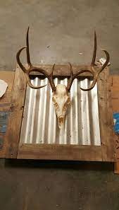 Homemade Diy Wall Mount For European Deer Skull Used Pallet Wood And Stained Using Vinegar Steel Wool Sol Deer Head Decor Deer Antler Decor Deer Hunting Decor