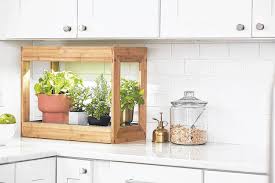 Grow Houseplants With Style Convenience In Mind Union Daily Times