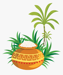 transparent sankranthi images png pongal png png download transparent png image pngitem png download transparent png image