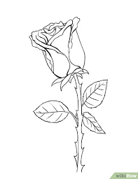 Le dessin d une rose points de cerise violette. Comment Dessiner Une Rose Avec Images Wikihow