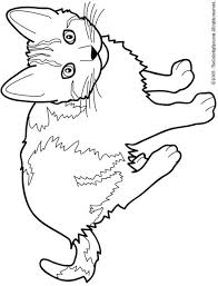 The five pages of activities include reading comprehension questions, parts of speech (nouns and verbs), synonyms, sight words and a page to research about cats. Printable Cat Coloring Pictures To Print