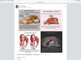 Epingle Par Iltis Sur Sante Et Bien Etre Etirements Quotidiens Sante Bien Etre Saviez Vous Que