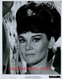 Diane Cilento The Agony And The Ecstasy Original 8x10" Photo #K7174 at  Amazon's Entertainment Collectibles Store