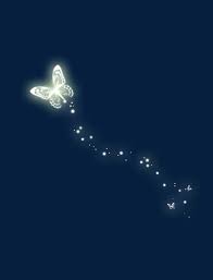 Butterfly Insect Light Png Transparent Clipart Image And Psd File For Free Download Background Wallpaper For Photoshop Butterfly Clip Art Butterfly Photos