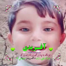 پہلگام کے حالیہ واقعہ کا مقصد پاکستان کی توجہ مغربی سرحدوں اور اقتصادی  بحالی کے لیے جاری کوششوں سے ہٹانا ہے کیونکہ ان دو عوامل میں پاکستان، فیصلہ  کن اور پائیدار ترقی