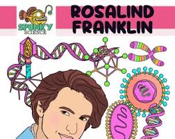 Rosalind Franklin Clip Art- Women's History STEM Collection