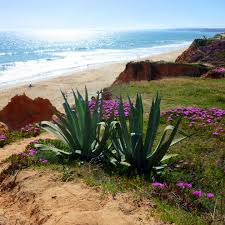 Sítio oficial da região do algarve. Urlaub Uber Ostern In Der Algarve Portugal Inspiration Fur Deinen Osterurlaub