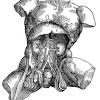 Connective tissue called the mesentery holds the abdomen anatomy scheme on this hand drawing representation you can see some drawing scheme of stomach. 1