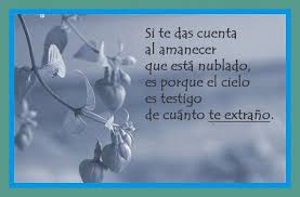 Frases Para Una Persona Especial Que Esta Lejos Imagenes De Amor De Lejos Frases Tiernas Frases Bonitas De Amistad Amor De Lejos