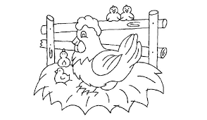 Nah, hari ini kita ingin share ke kamu beberapa gambar berbagai jenis ayam dari berbagai negara. 11 Contoh Sketsa Ayam Yang Mudah Dan Simple Broonet